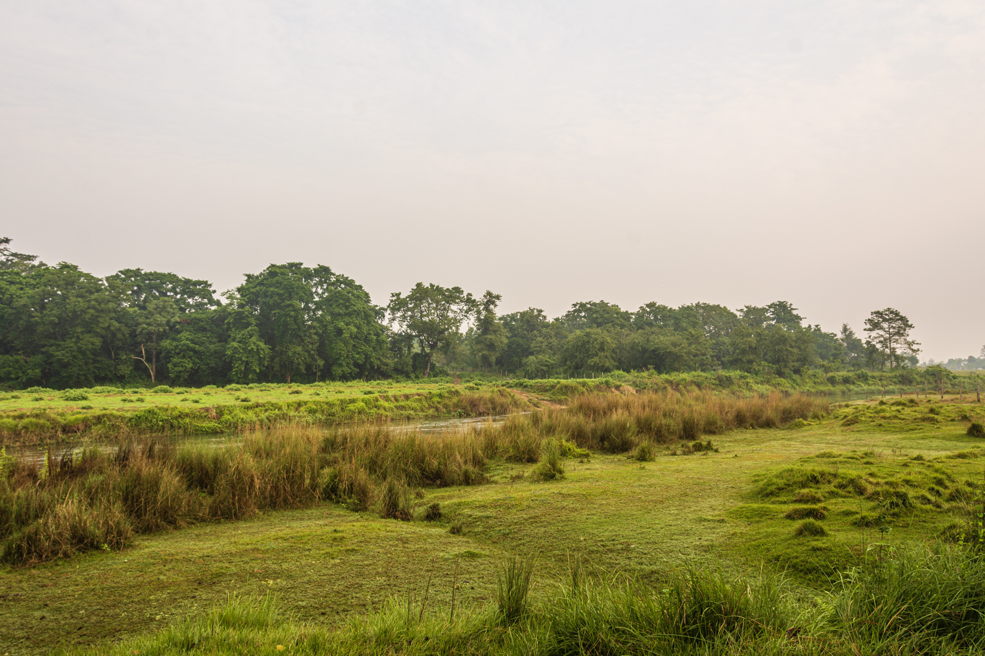 Chitwan Rapti River Tour